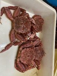 image1.jpeg