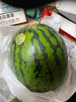 image0.jpeg