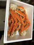 image1.jpeg