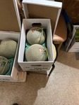 image1.jpeg