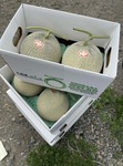 image2.jpeg