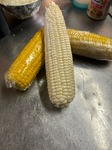 image0.jpeg