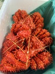 image1.jpeg