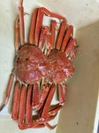 image0.jpeg